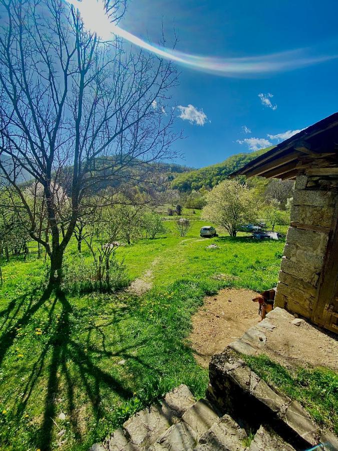 Cottage Modrich Struga Extérieur photo